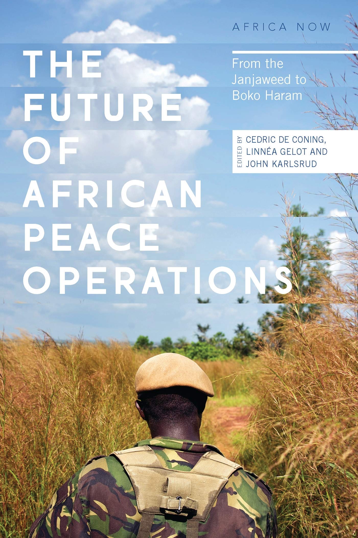 The Future of African Peace Operations: From the Janjaweed to Boko Haram (Africa Now)
