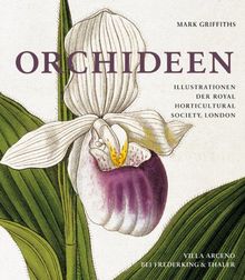 Orchideen