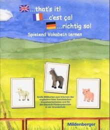 ... that`s it! 1 ... c`est ça! 1 ... richtig so! 1" - Substantive: 144 große Bildkarten für Englisch, Französisch und Deutsch zum Erlernen des Wortschatzes