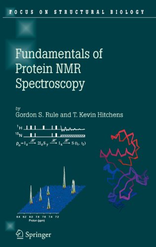 Fundamentals of Protein NMR Spectroscopy (Focus on Structural Biology)