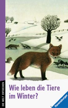 Wie leben die Tiere im Winter?