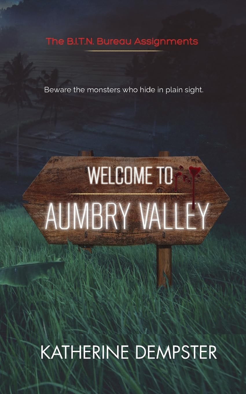 Welcome to Aumbry Valley (The B.I.T.N Assignments, Band 1)