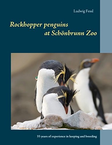 Rockhopper penguins at Schönbrunn Zoo: 35 years of experience in keeping and breeding