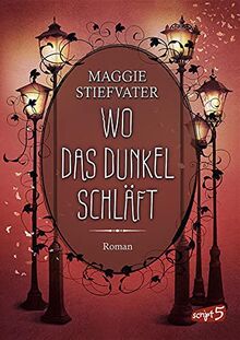 Wo das Dunkel schläft (Band 4): Entdecke die spannende Mischung aus Fantasy, Romantik und Spannung - Fantasyroman ab 14 Jahren