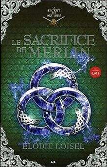 Le sacrifice de Merlin - Le secret des druides T4