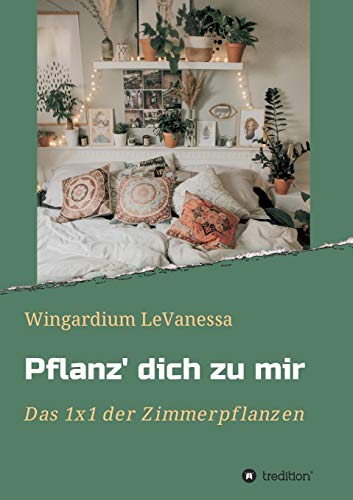 Pflanz' dich zu mir: Das 1x1 der Zimmerpflanzen