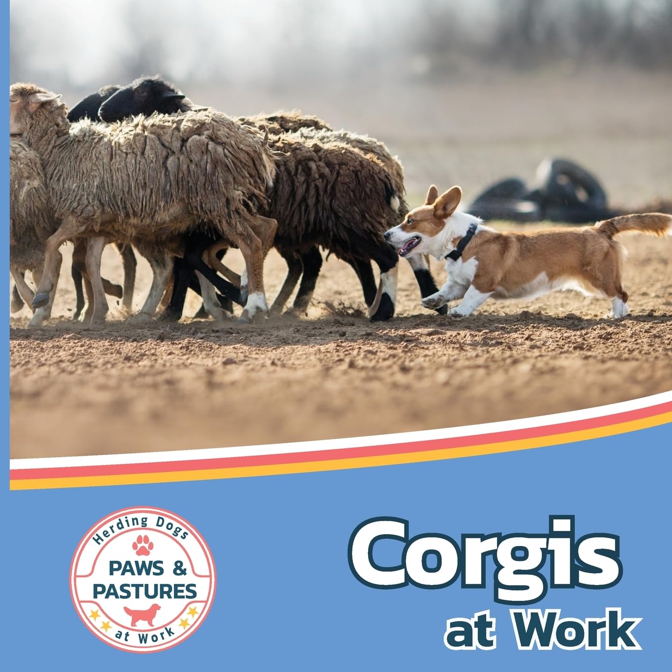 Corgis at Work (Paws and Pastures: Herding Dogs at Work, Band 3)
