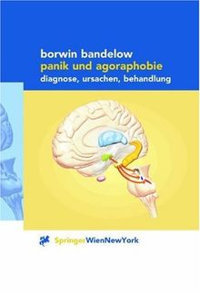 Panik und Agoraphobie: Diagnose, Ursachen, Behandlung von Bandelow, Borwin | Buch | Zustand gut