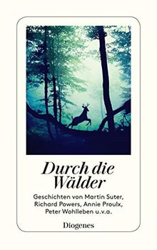 Durch die Wälder: Ein Waldspaziergang der besonderen Art (detebe)