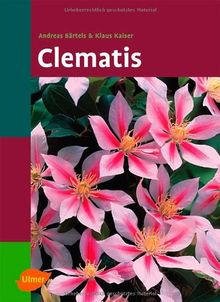 Clematis