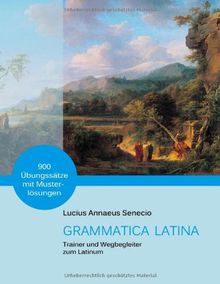 GRAMMATICA LATINA: Trainer und Wegbegleiter zum Latinum