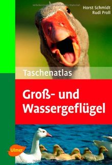 Taschenatlas Groß- und Wassergeflügel von Proll, Rudi, Schmidt, Horst | Buch | Zustand gut