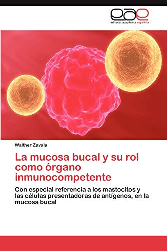 La mucosa bucal y su rol como órgano inmunocompetente: Con especial referencia a los mastocitos y las células presentadoras de antígenos, en la mucosa bucal