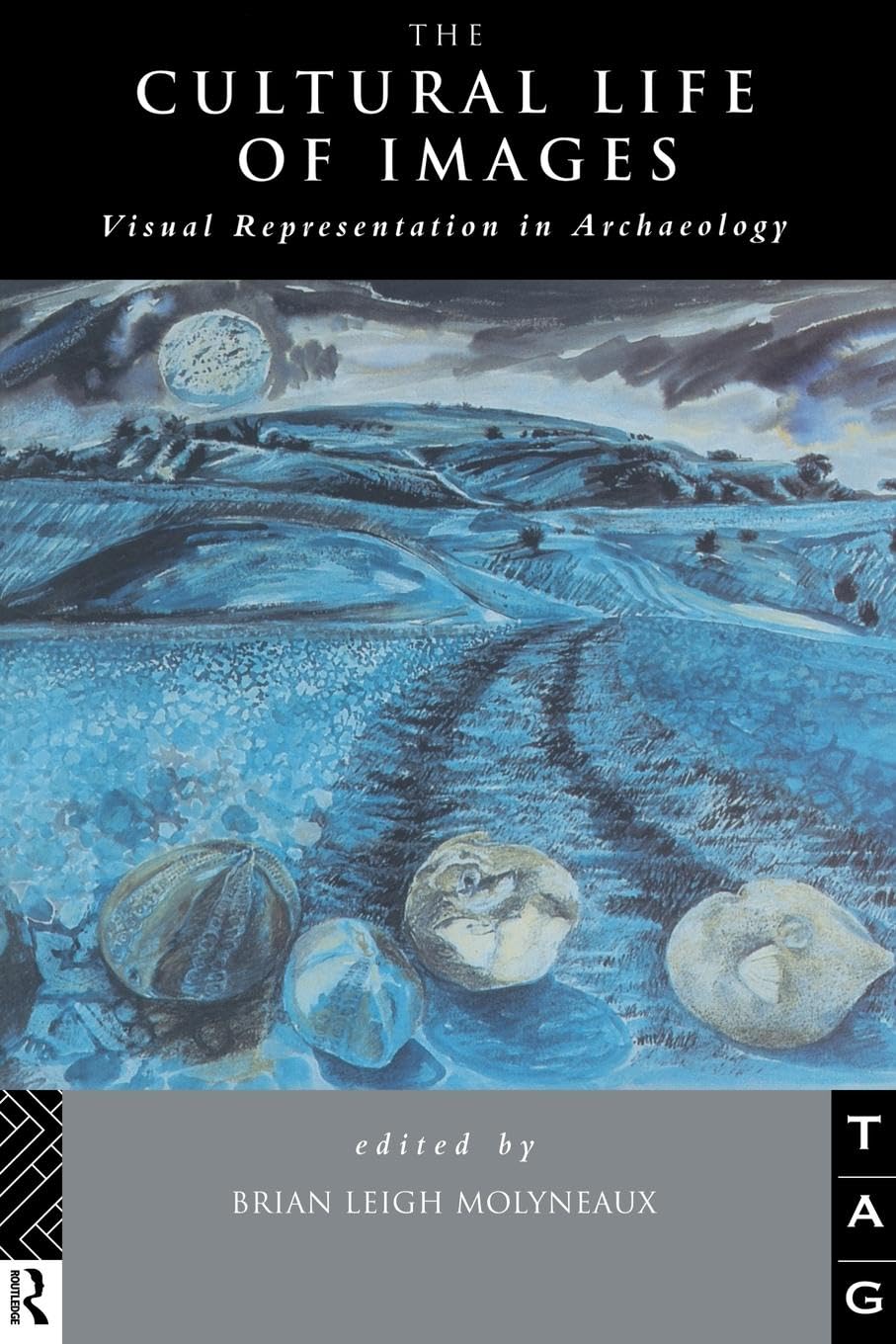 The Cultural Life of Images: Visual Representation in Archaeology (Theoretical Archaeology Group)
