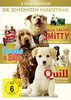 Die schönsten Hundefilme - Quill / Mein Freund Smitty / Boule & Bill [3 DVDs]