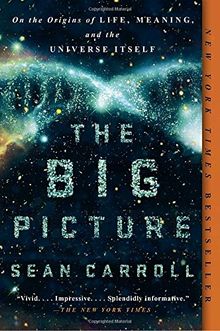 The Big Picture: On the Origins of Life, Meaning, and the Universe Itself