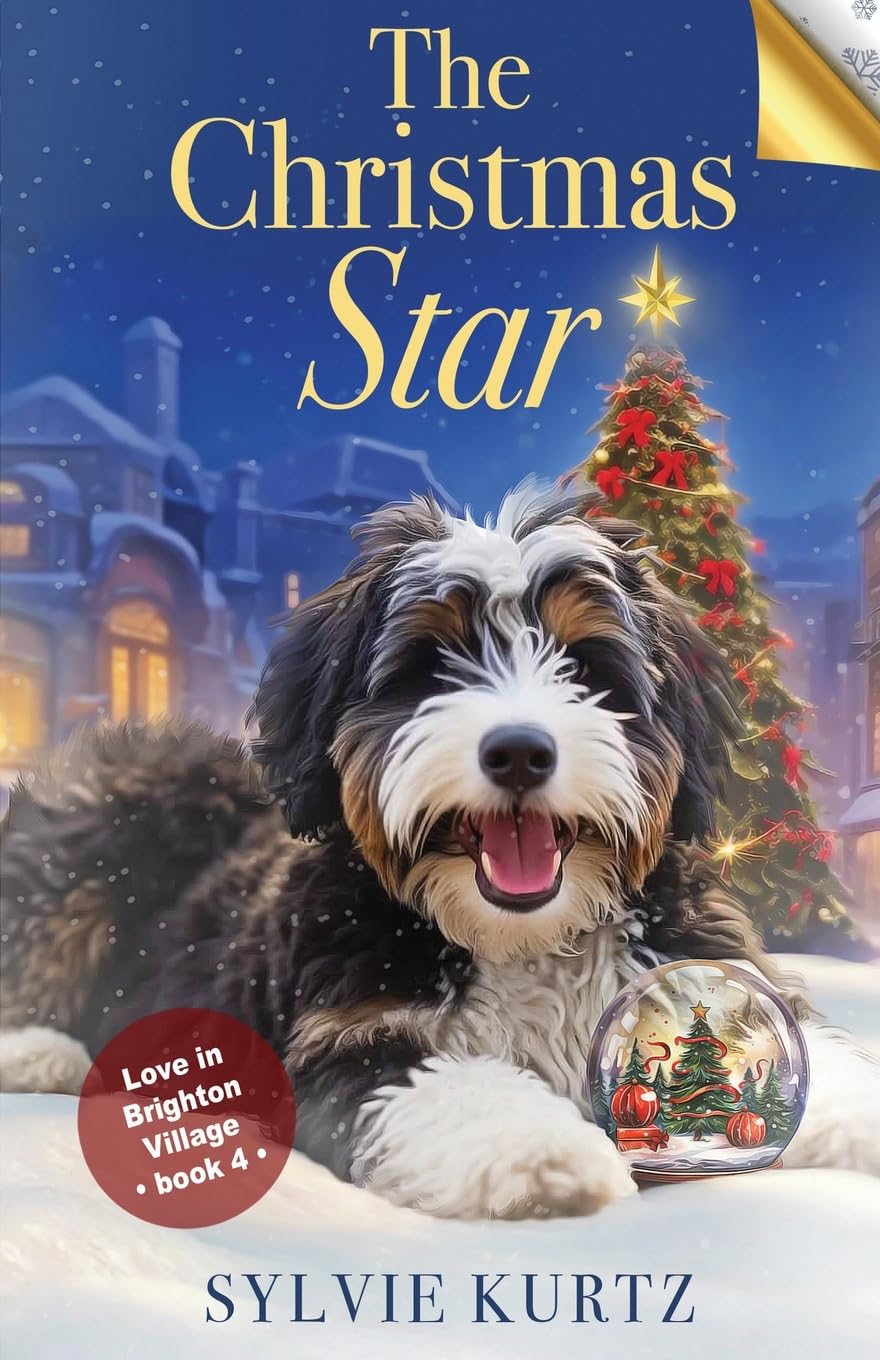 The Christmas Star (Love in Brighton Village, Band 4)