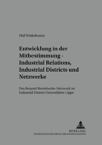 Entwicklung in der Mitbestimmung - Industrial Relations, Industrial Districts und Netzwerke: Das Beispiel Betriebsräte-Netzwerk im Industrial ... /Work -Technology - Organization - Society)