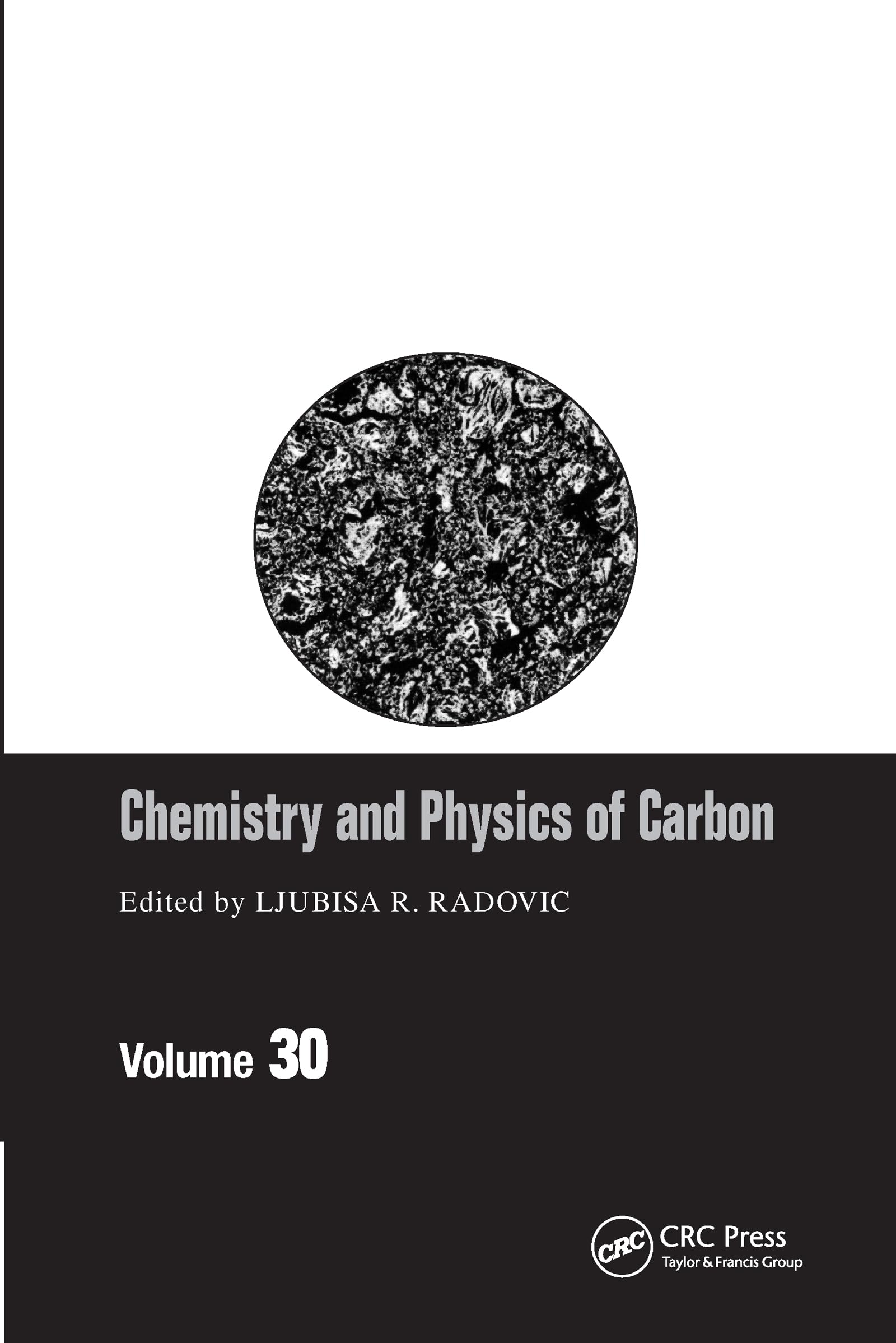 Chemistry & Physics of Carbon: Volume 30 (Chemistry & Physics of Carbon, 30, Band 30)