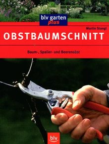 Obstbaumschnitt: Baum-, Spalier- und Beerenobst