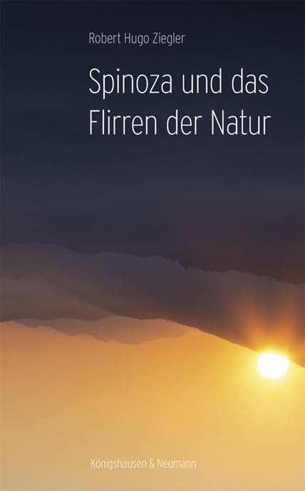 Spinoza und das Flirren der Natur - Robert Hugo Ziegler Kartoniert (TB)