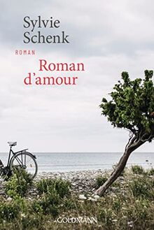 Roman d'amour: Roman