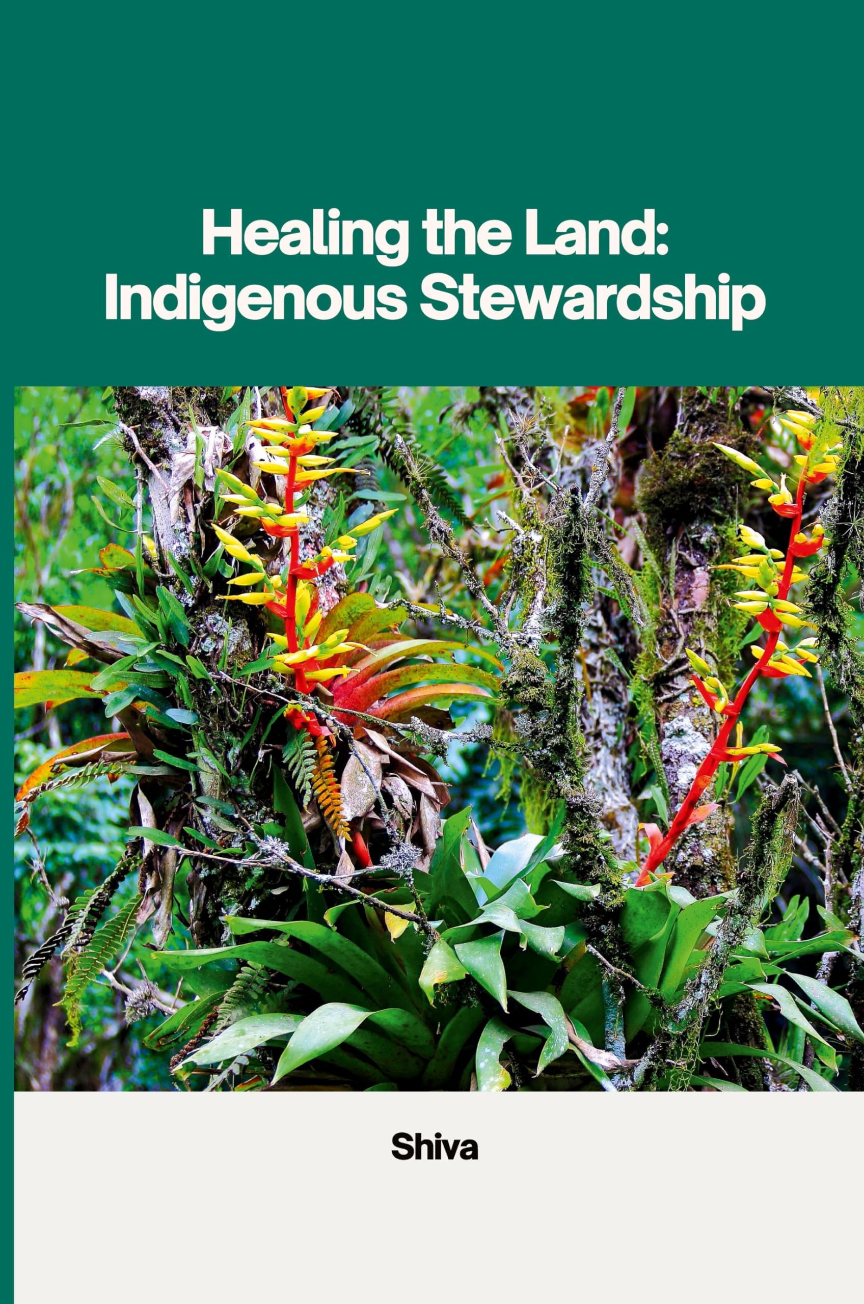 Healing the Land: Indigenous Stewardship: DE