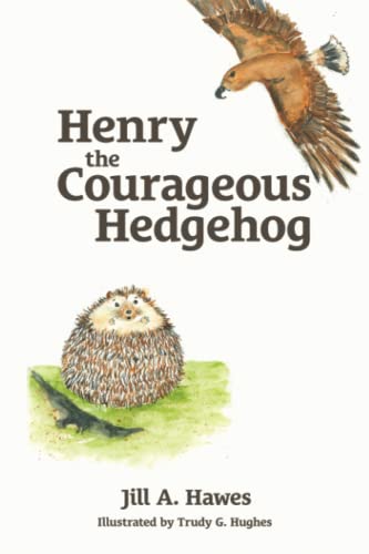 Henry the Courageous Hedgehog