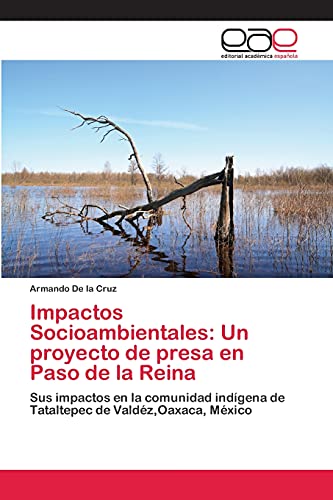 Impactos Socioambientales: Un proyecto de presa en Paso de la Reina: Sus impactos en la comunidad indígena de Tataltepec de Valdéz,Oaxaca, México