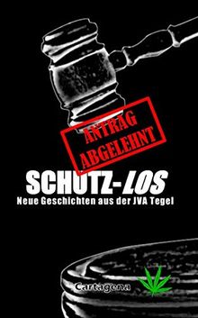 Schutzlos: Neue Geschichten aus der JVA Tegel