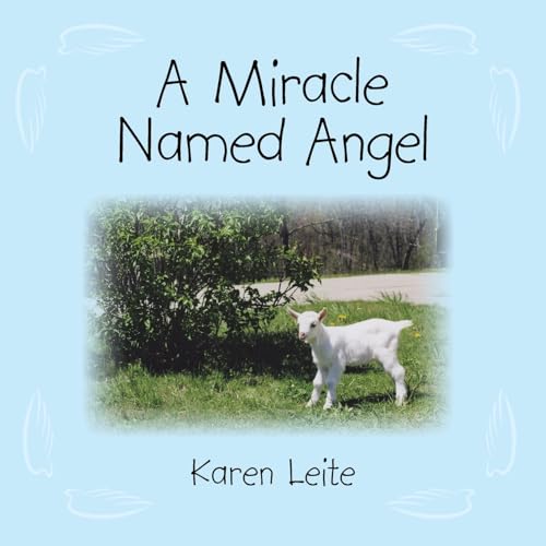 A Miracle Named Angel
