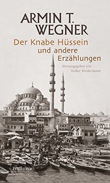 Der Knabe Hüssein und andere Erzählungen (Armin T. Wegner: Ausgewählte Werke in Einzelbänden)