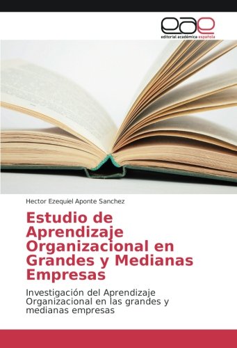Estudio de Aprendizaje Organizacional en Grandes y Medianas Empresas: Investigación del Aprendizaje Organizacional en las grandes y medianas empresas