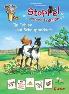 Stoppel und seine Freunde - Ein Fohlen auf Schnupperkurs