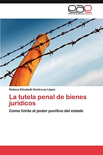 La tutela penal de bienes jurídicos: Como límite al poder punitivo del estado