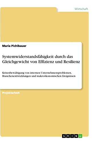Systemwiderstandsfähigkeit durch das Gleichgewicht von Effizienz und Resilienz: Krisenbewältigung von internen Unternehmensproblemen, Branchenentwicklungen und makroökonomischen Ereignissen