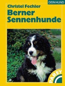 Berner Sennenhunde