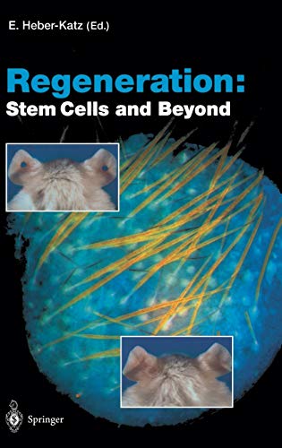 Regeneration: Stem Cells and Beyond (Current Topics in Microbiology and Immunology, 280, Band 280)
