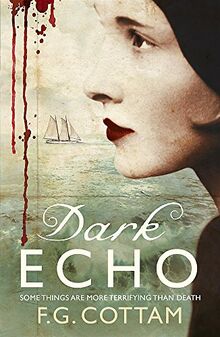 Dark Echo von F. G. Cottam | Buch | Zustand gut