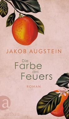 Die Farbe des Feuers: Roman