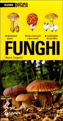 Funghi