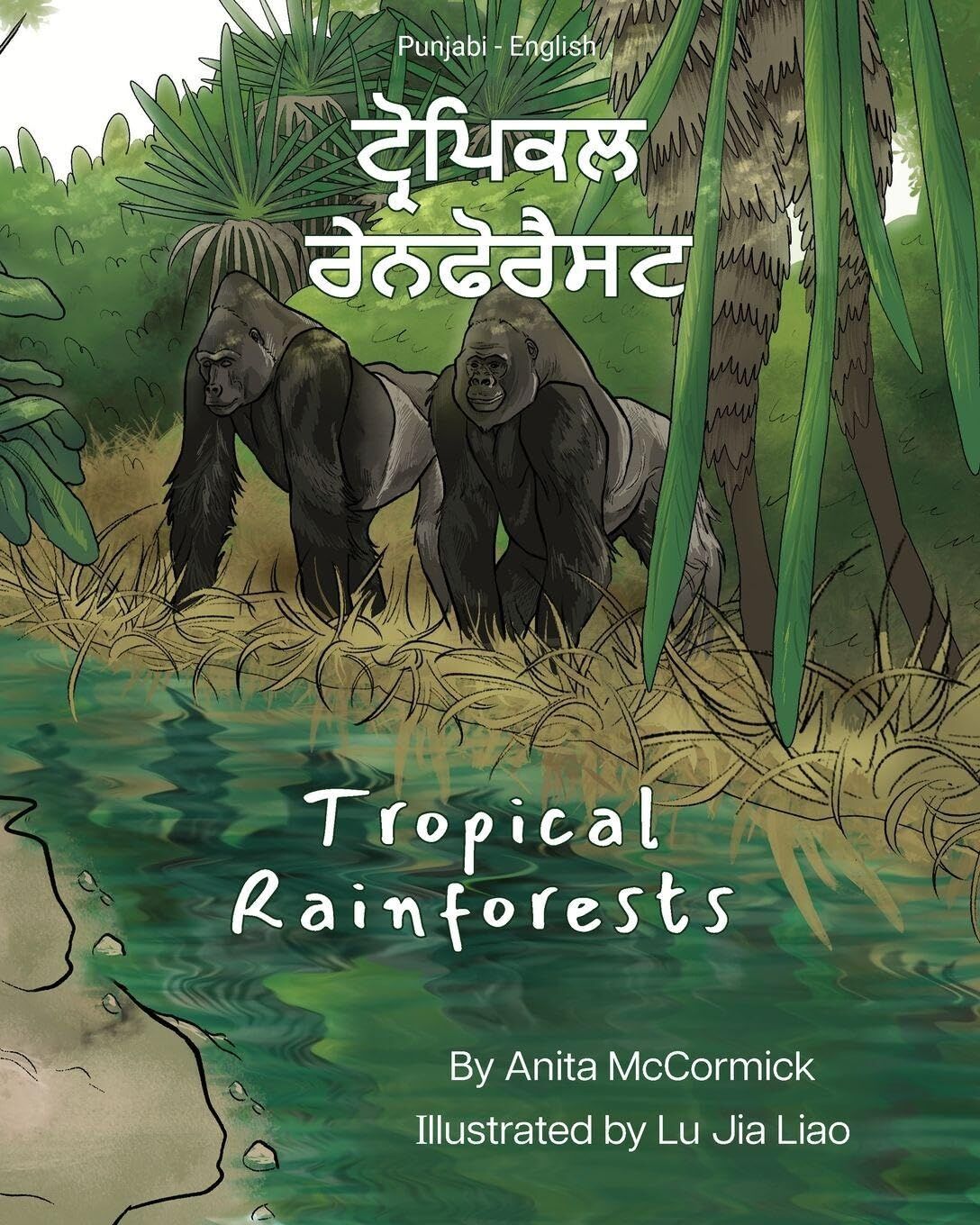 Tropical Rainforests (Punjabi-English)