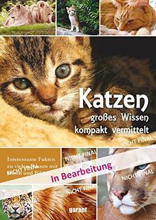 Katzen