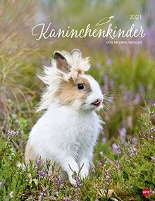Kaninchenkinder Posterkalender von Monika Wegler - niedlicher Wandkalender 2021 mit vielen Fotos und lustigen Mini-Geschichten - mit Monatskalendarium - Format 34 x 44 cm