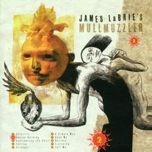 2 von James LaBrie | CD | Zustand sehr gut