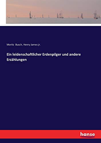Ein leidenschaftlicher Erdenpilger und andere Erzählungen - Henry James Moritz Busch Kartoniert (TB)
