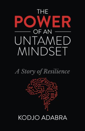 THE POWER OF AN UNTAMED MINDSET: A STORY OF RESILIENCE