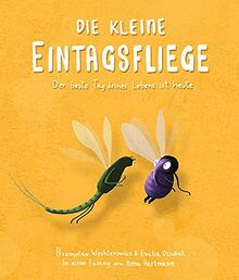 Die kleine Eintagsfliege: Der beste Tag deines Lebens ist heute. Freundschafts- und Tiergeschichte. Bilderbuch zum Vorlesen für Kinder ab 4 Jahren. Für Kita & Grundschule