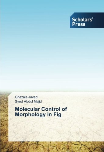 Molecular Control of Morphology in Fig