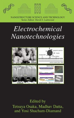 Electrochemical Nanotechnologies (Nanostructure Science and Technology)